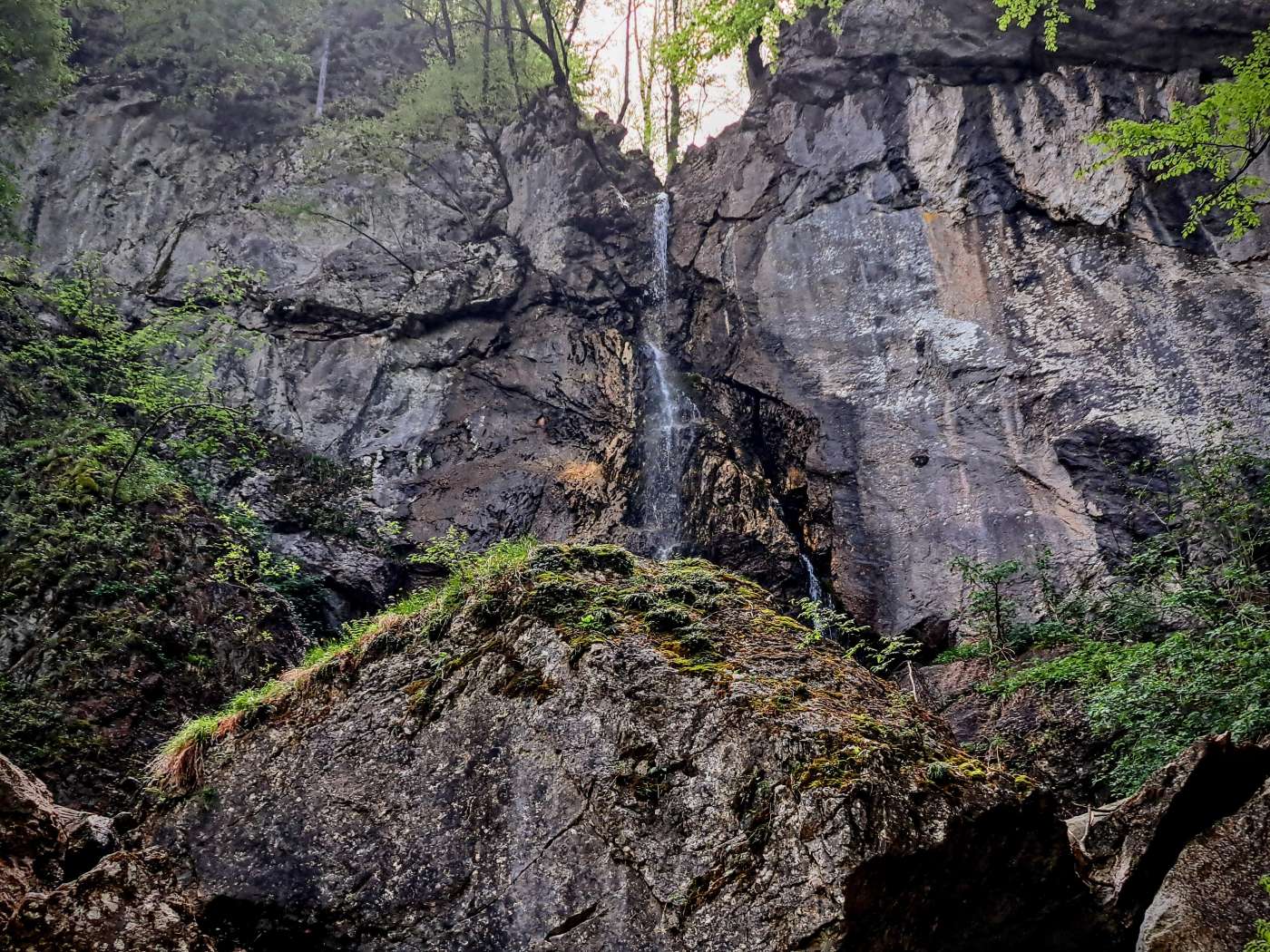 Divčibare šta videti: 30 ruta za šetnju i planinarenje za idealan dan na Divčibarama